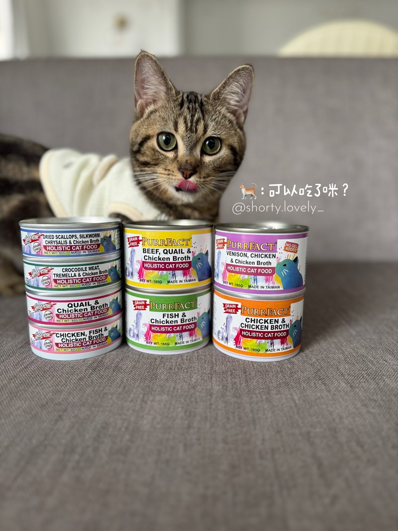 女人知己試用大隊,口碑行銷,部落客行銷,PURRFACT 波菲特貓用主食罐,主食罐,PURRFACT波菲特,貓主食罐,貓罐,PURRFACT波菲特貓用主食罐,魚肉蔓越莓主食罐,鮮嫩雞主食罐,鹿肉雞肉主食罐,牛肉鵪鶉貓主食罐,干貝蠶蛹配方,鱷魚肉白木耳配方,雞肉魚肉配方,安心鶉配方,評價,體驗,適口性佳,心得,成貓適用,高齡貓適用,質地是慕絲狀